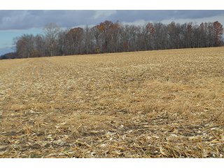 Property photo 30 - LAND AUCTION - 276.5+/- ACRES OFFERED IN 5 TRACTS IN EAST ALLEN COUNTY